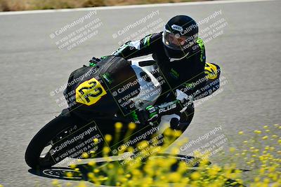 media/May-10-2024-2WTD (Fri) [[c88d7990af]]/Group C/Session 2-The Bowl/